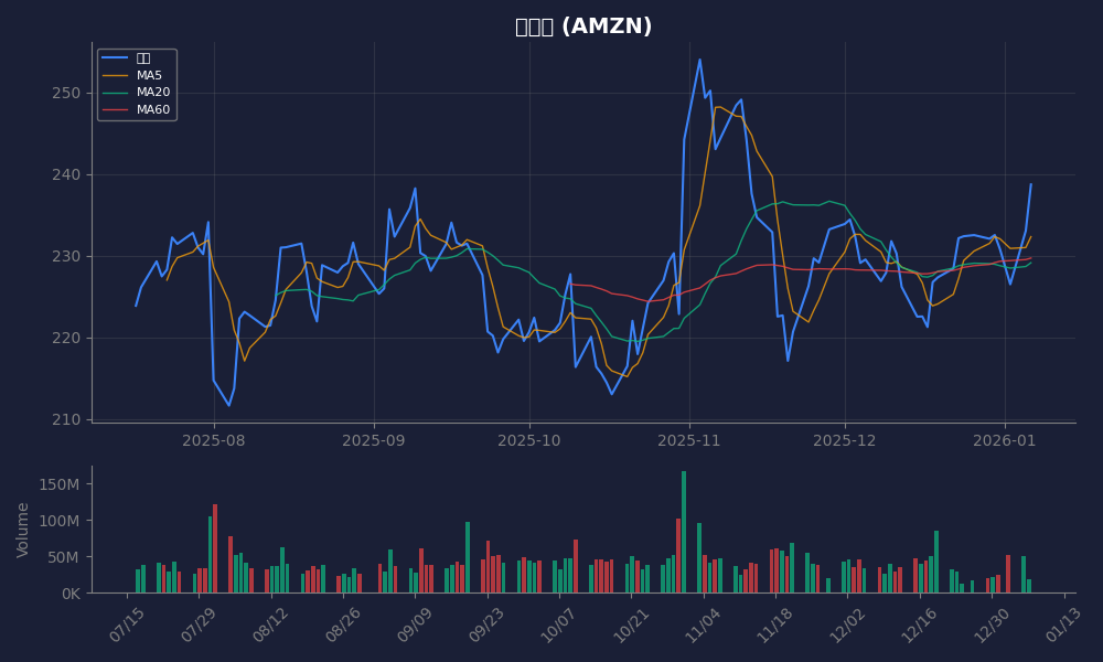 아마존 주가 차트